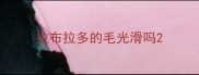 拉布拉多的毛光滑吗