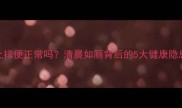 猫咪每天早上排便正常吗清晨如厕背后的5大健康隐患及应对措施