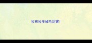 拉布拉多掉毛厉害
