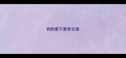 狗狗要不要穿衣服