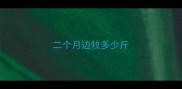 二个月边牧多少斤
