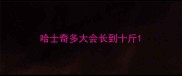 哈士奇多大会长到十斤