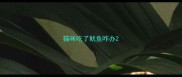 猫咪吃了鱿鱼咋办
