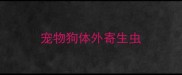 宠物狗体外寄生虫