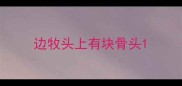 边牧头上有块骨头