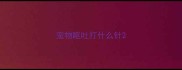 宠物呕吐打什么针