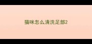 猫咪怎么清洗足部
