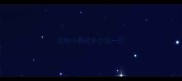 边牧小狗买多少钱一只