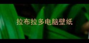 拉布拉多电脑壁纸