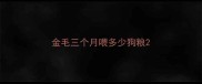 金毛三个月喂多少狗粮