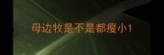 母边牧是不是都瘦小