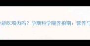 狗狗怀孕能吃鸡肉吗孕期科学喂养指南营养与禁忌全