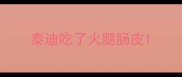 泰迪吃了火腿肠皮