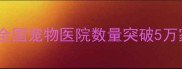中国宠物医院行业报告全国宠物医院数量突破5万家如何选择靠谱机构