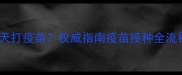 小狗到新家几天打疫苗权威指南疫苗接种全流程及注意事项