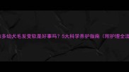 拉布拉多幼犬毛发变软是好事吗5大科学养护指南附护理全流程