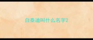 白泰迪叫什么名字