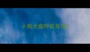 小狗犬瘟呼吸急促