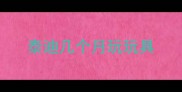 泰迪几个月玩玩具