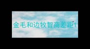金毛和边牧智商差距