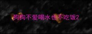 狗狗不爱喝水也不吃饭