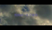 狗狗的一生只有你