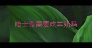 哈士奇需要吃羊奶吗