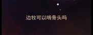 边牧可以啃骨头吗