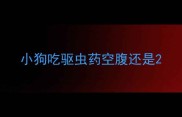 小狗吃驱虫药空腹还是