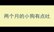 两个月的小狗有点吐