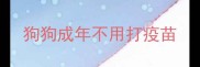 狗狗成年不用打疫苗