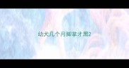 幼犬几个月脚掌才黑
