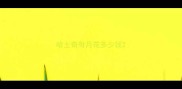 哈士奇每月花多少钱