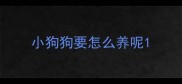 小狗狗要怎么养呢