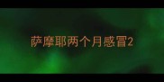 萨摩耶两个月感冒