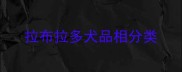 拉布拉多犬品相分类