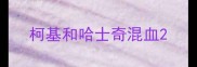 柯基和哈士奇混血