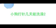 小狗打针几天能洗澡
