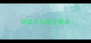 银狐犬与哈士奇串