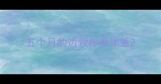 五个月的边牧标准体重