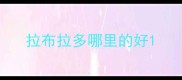 拉布拉多哪里的好