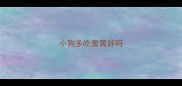 小狗多吃蛋黄好吗