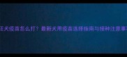 马犬狂犬疫苗怎么打最新犬用疫苗选择指南与接种注意事项全