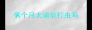 俩个月太迪能打虫吗