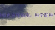 拉布拉多配种颜色选择指南科学配种与遗传规律全