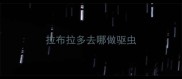 拉布拉多去哪做驱虫