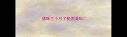猫咪三个月了能洗澡吗
