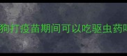 狗狗打疫苗期间可以吃驱虫药吗