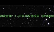 英短配种黄金期3-6月科学配种指南附健康检查清单