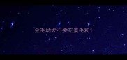 金毛幼犬不要吃美毛粉